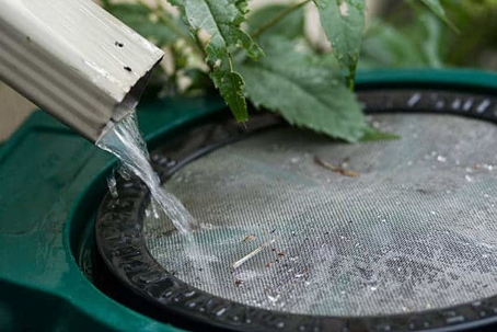 A rain barrel catches water.